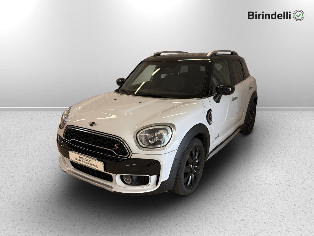 MINI Mini Countryman